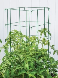 Pro Series Cage - Green