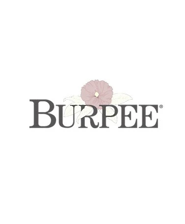 Burpees Natural Organic Blood Meal 12-0-0 - Image 2
