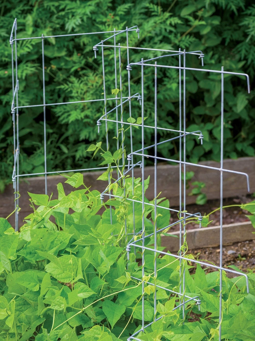 Pea And Cucumber Fence 2/Pack