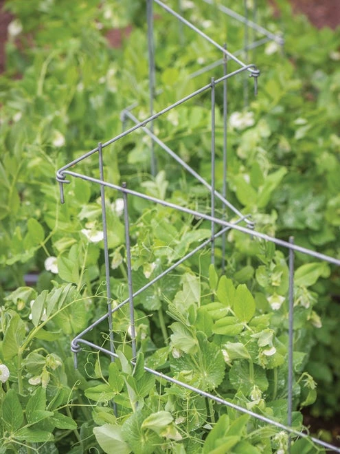 Pea And Cucumber Fence 2/Pack - Image 6