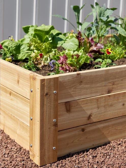 Deep Cedar Raised Bed - Image 3