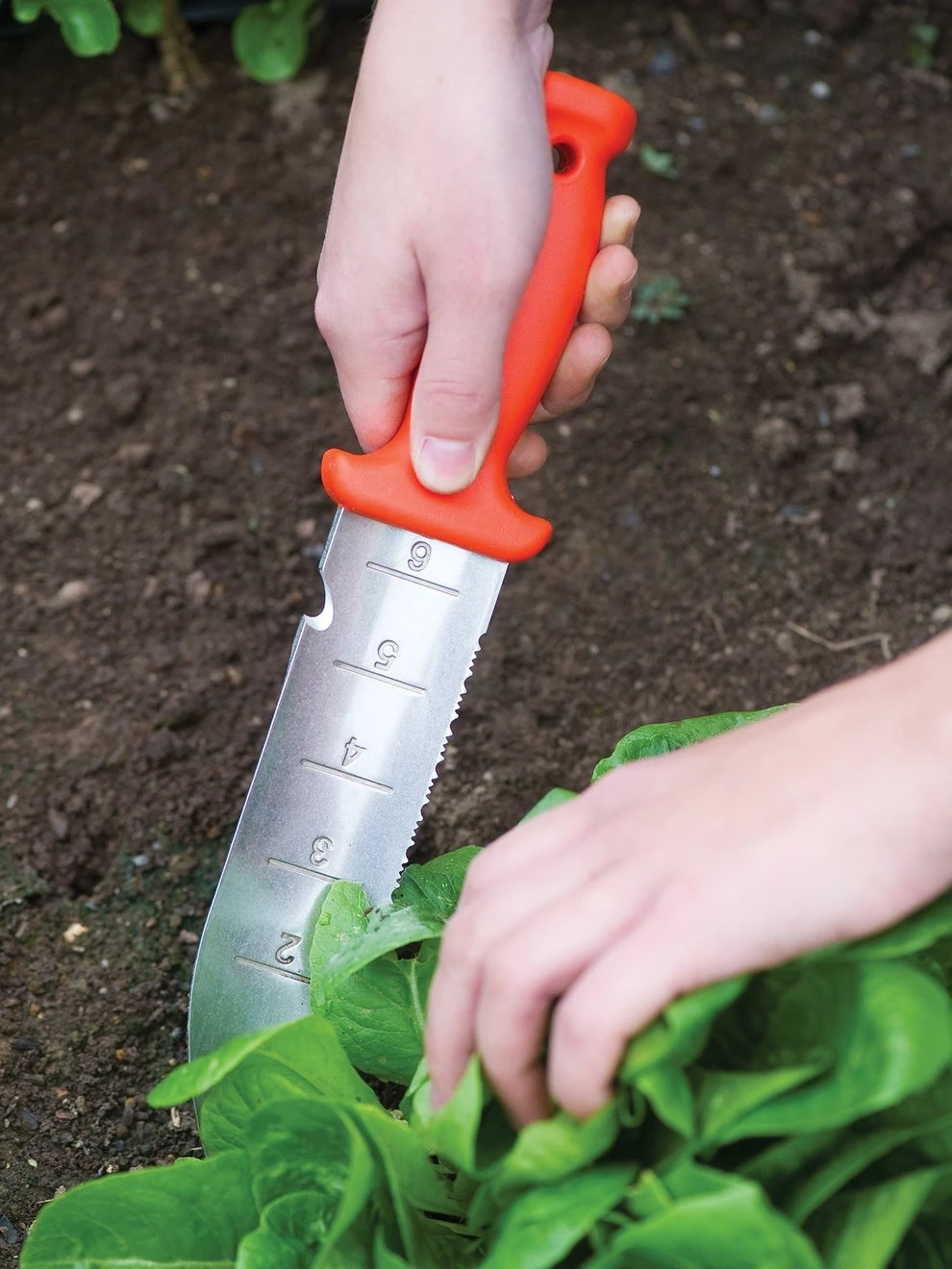 Hori-Hori Gardening Knife