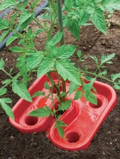 Tomato & Pepper Automator Trays