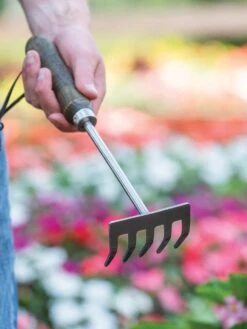 Garden Tools - Burpee Stainless Steel 5 Tine Rake