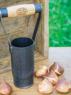Short Handle Bulb Planter