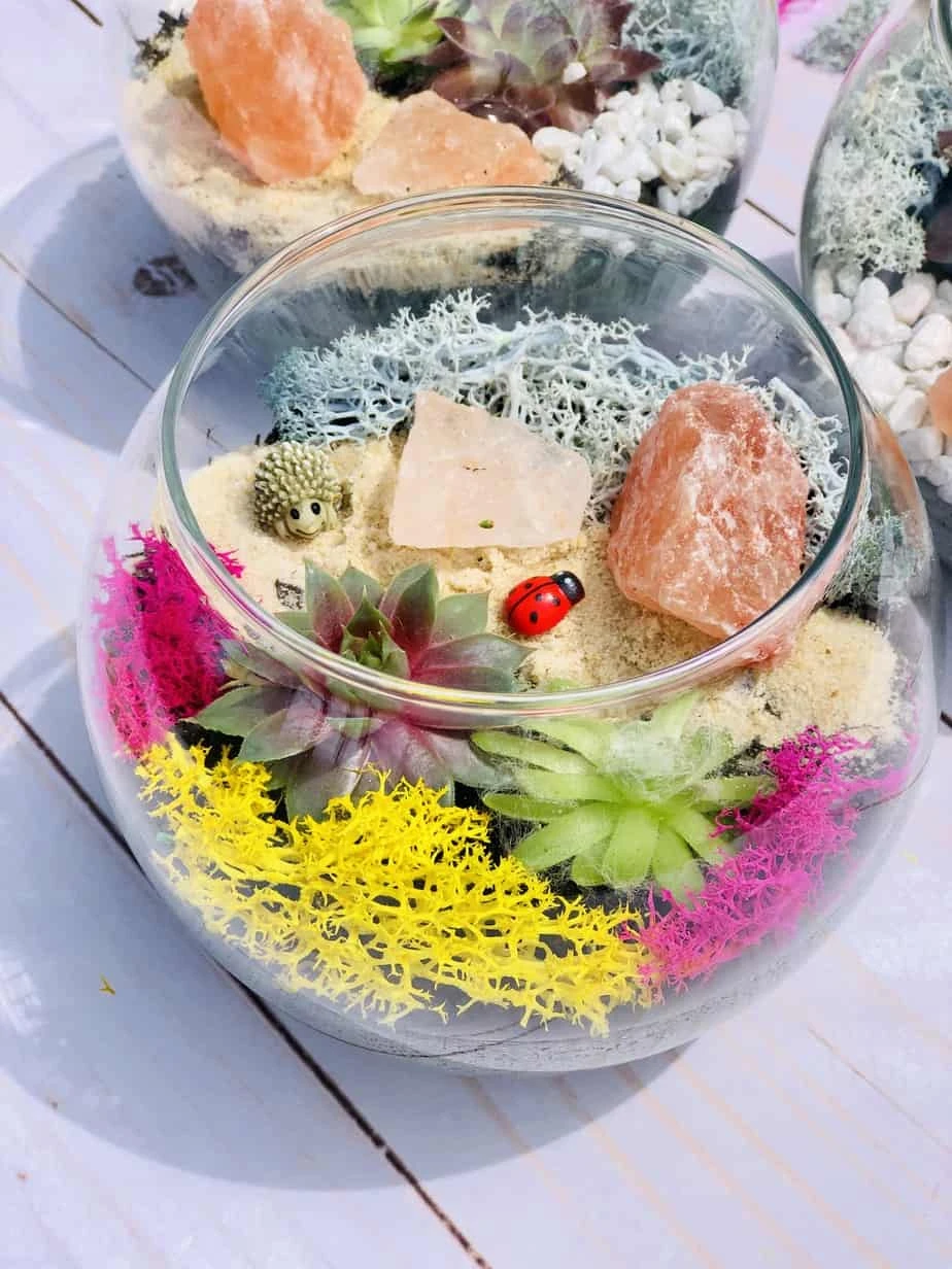 Pink Himalayan Salt Rock Terrarium Kit - Image 4