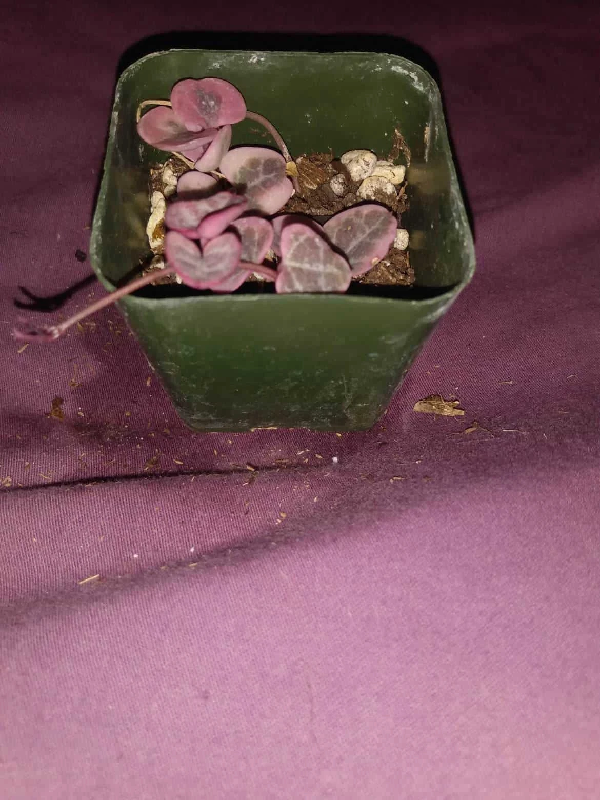 Soul Peace Bundle-String Of Hearts Variegated - Image 2