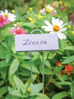 Plant Markers 25/Pack