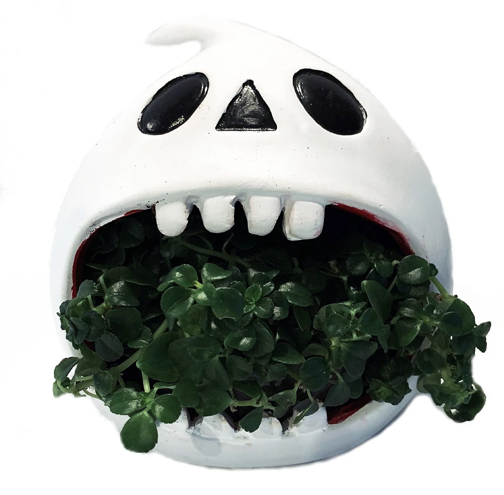 Ghost Howler Halloween Indoor Garden Planter - 5" Ceramic Vase/Live Plant