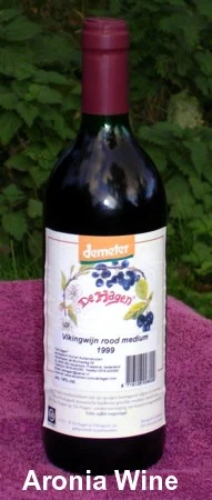 Viking Chokeberry Plant - Aronia - Shrub/Bonsai/Wine - 3.25" Pot - Image 3