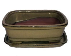 Ceramic Bonsai Pot/Attached Saucer - Mustard - 8" X 6.25" X 3" + Felt Feet