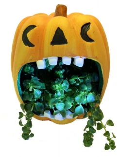 Orange Pumpkin Howler Halloween Indoor Garden Planter-5" Ceramic Vase/Live Plant