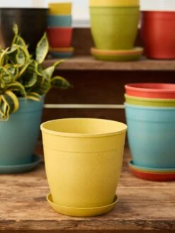 8" Rice Pot With Saucer