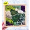 DIY Moss Wall Art Kit, Make Your Own Moss Art, Preserved Moss Art