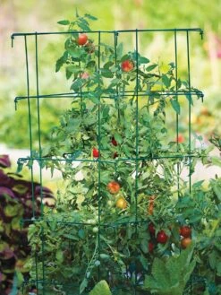 XL Pro Series Cage - Green