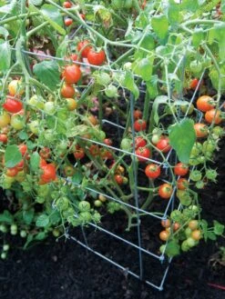 XL Pro Series Cage - Silver