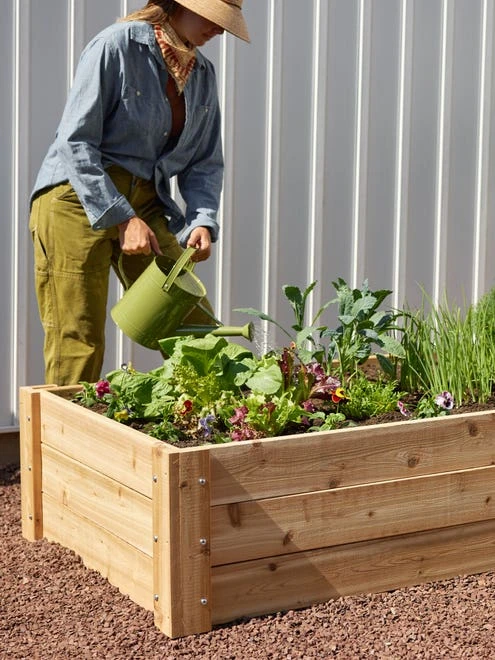 Deep Cedar Raised Bed - Image 4