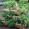 Plant Pyramid Raised Planters