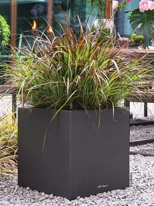 All In-One Canto Planter - Image 2