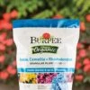 Burpee Natural Organic Azalea, Camellia, Rhododendron Plant Food 4-3-4