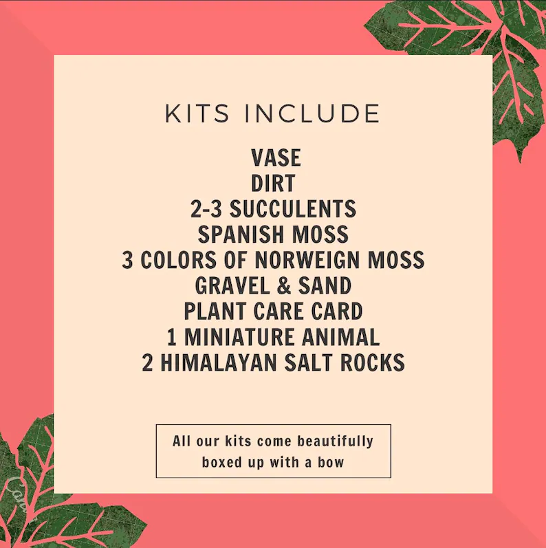 Pink Himalayan Salt Rock Terrarium Kit - Image 5