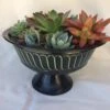 Large Succulent Arrangement In A Black With Green Tin Pedestal Planter.