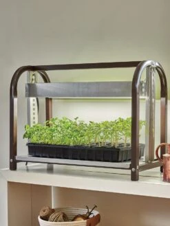 Tabletop LED Glow N Grow Light