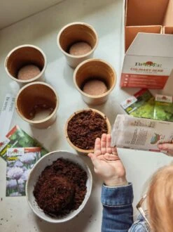 Burpee Culinary Herb Seed Starter Kit