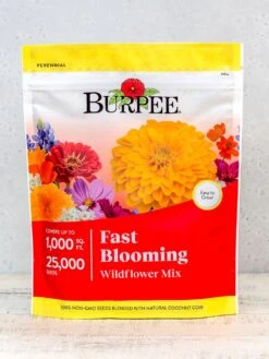 Wildflower Mix, Fast Blooming