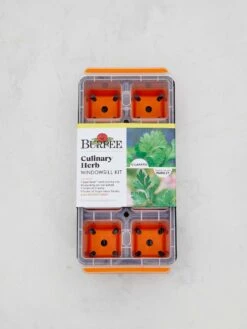 Herb Kit, Culinary Herb Windowsill