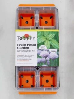 Herb Kit, Fresh Pesto Garden Windowsill