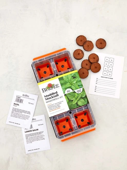 Herb Kit, Muddled Mocktail Windowsill - Image 4